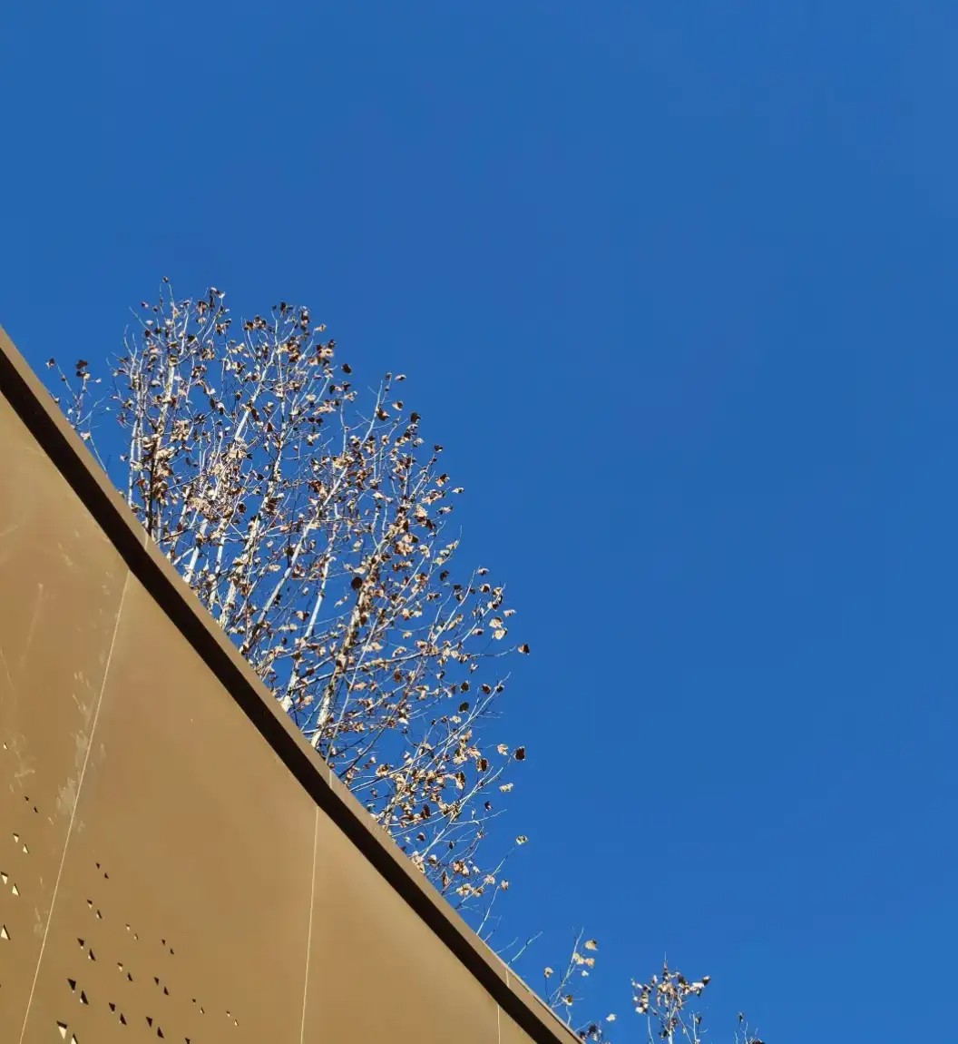 他自认赌博可控,但现实不是你想